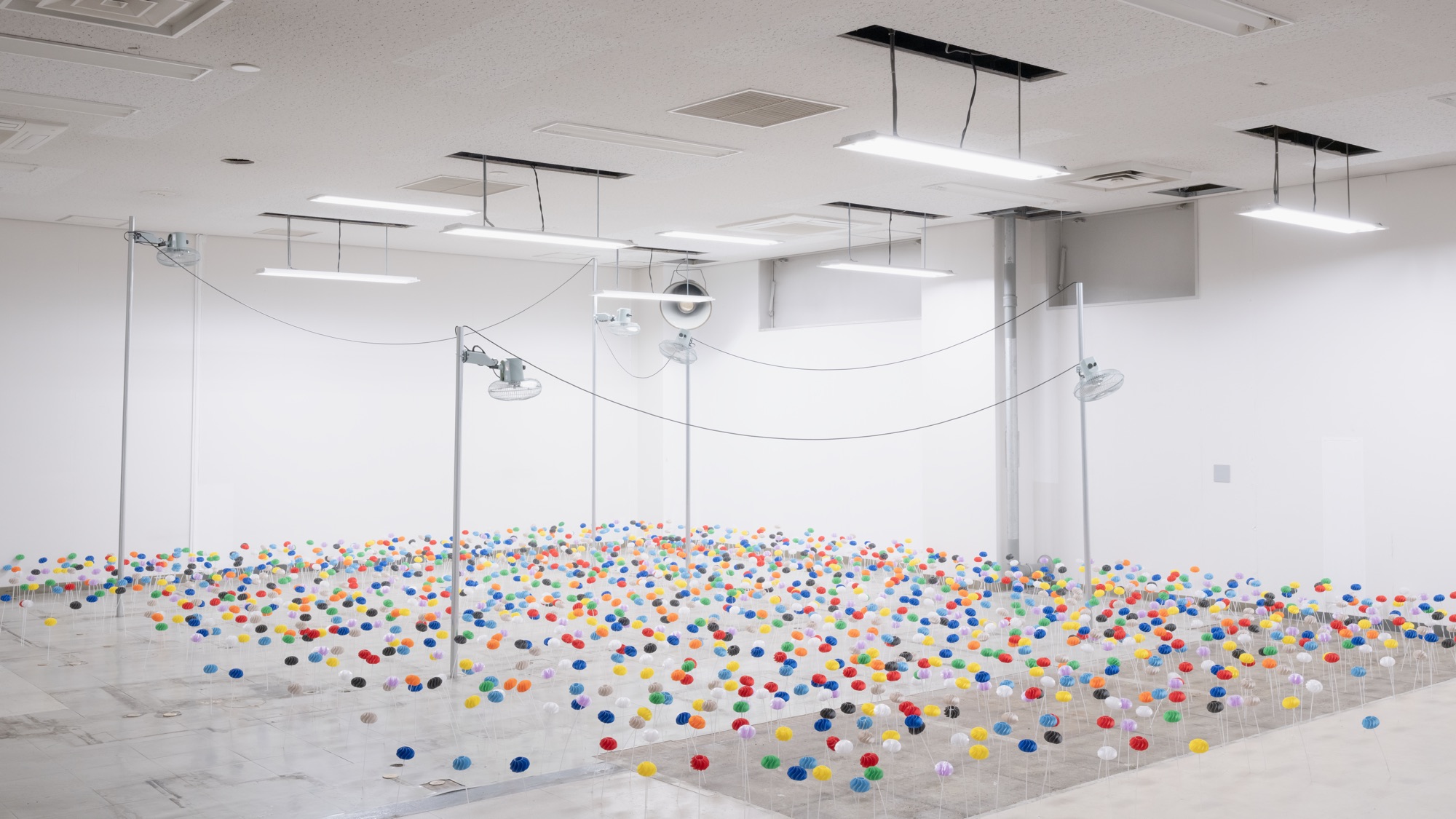 産毛 展示風景