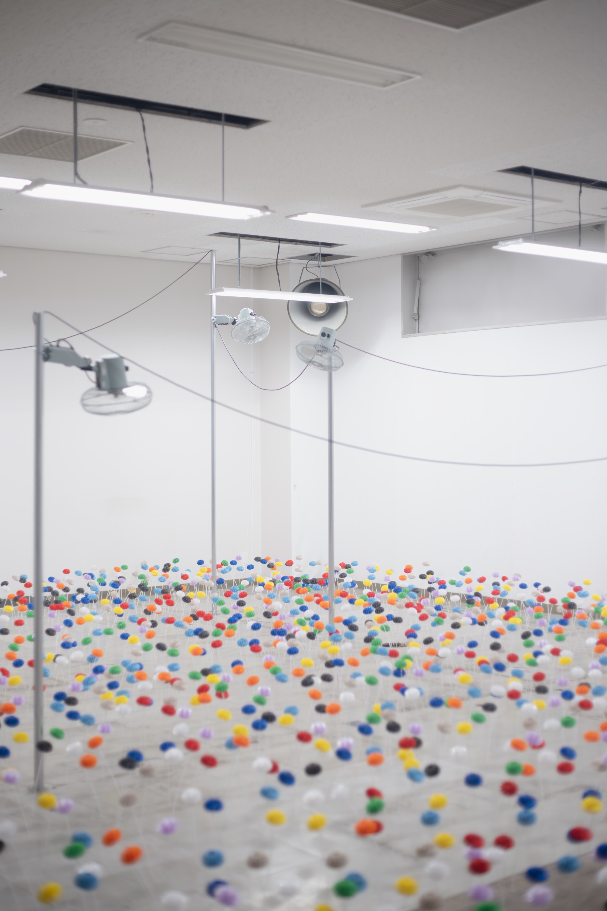 産毛 展示風景